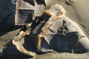 Cracks in a boulder filled by yellow calcite